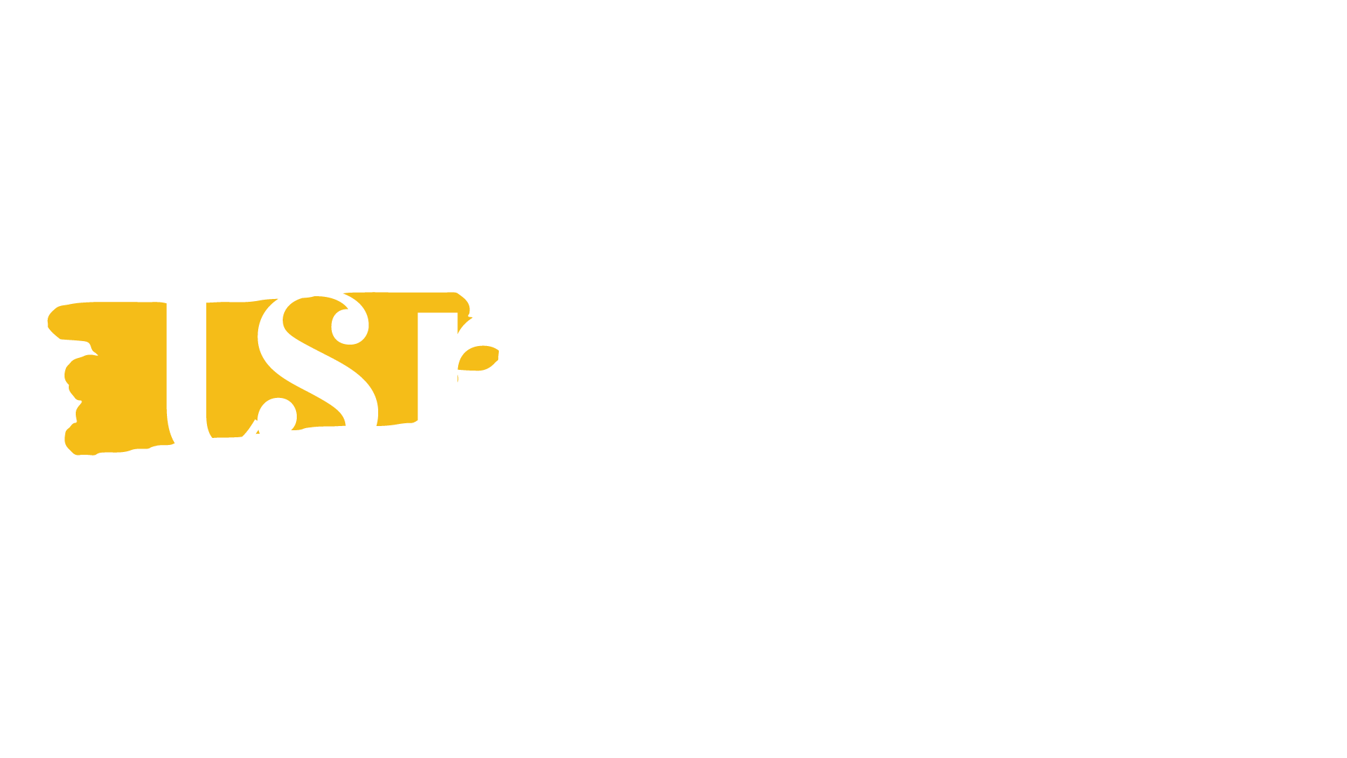 logo-ts-media-white